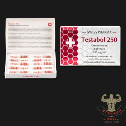 Testabol 250 | Testosterone Enanthate 250mg/ml